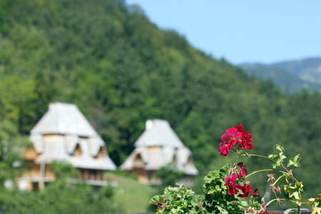 flowers and cottages mountain landscapeの写真素材