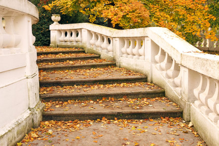 staircase with fallen leaves autumn seasonの写真素材