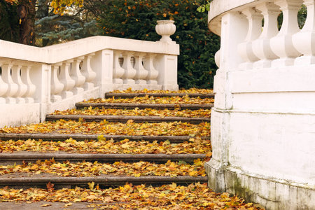 stone staircase with fallen leaves autumn seasonの写真素材