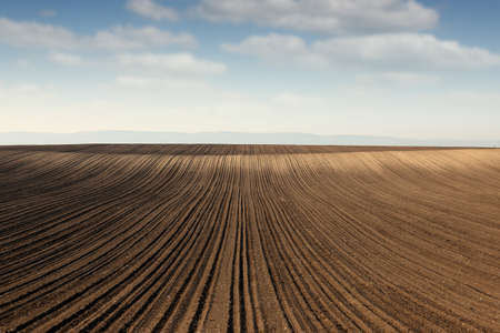 plowed field landscapeの写真素材