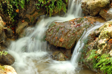 fresh water stream nature background の写真素材