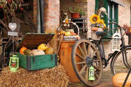 farm yard with pumpkins and old wooden wheels autumn seasonの写真素材