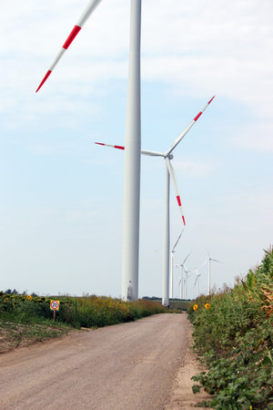 wind turbines by the country road