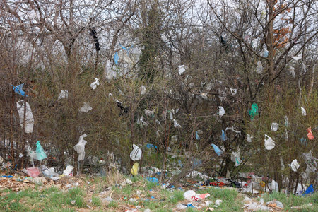 plastic bags on the branches of trees and ground environmental pollutionの写真素材