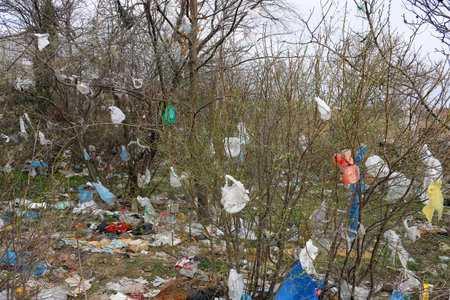 plastic bags on the branches of trees environmental pollution