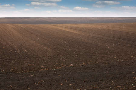 Plowed field agriculture Voivodina Serbia landscape in springの写真素材
