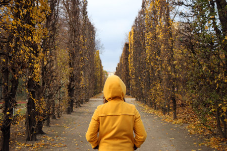 girl in a yellow hooded coat in the park Augarten Vienna autumn seasonの写真素材