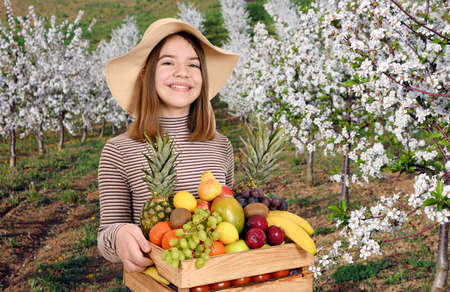 happy girl holds a wooden crate with fruit in orchardの写真素材