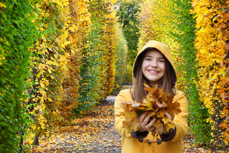 teenage girl in a hooded coat holds the leaves in her handsの写真素材