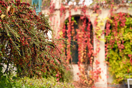 Autumn in Vienna Strudlhofstiege staircase detail