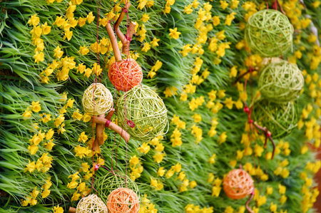 Spring nature background with flowers and grass