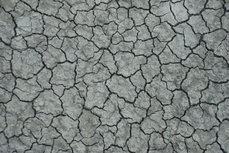 Bare, cracked soil during the drought.