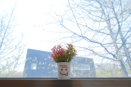 Cute little potted plant with Don Wanna Be Happy written on it
