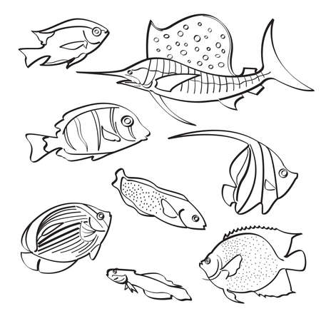 Fishes Collectionのイラスト素材