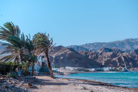 Sea, palm trees, mountains in the background.Tropical photography on view a sea and mountains.