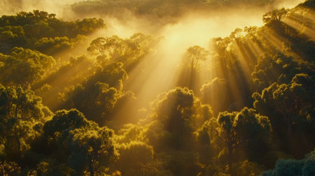 Sun rays piercing through the branches of a dense green forest, creating a magical summer morning glow.の素材