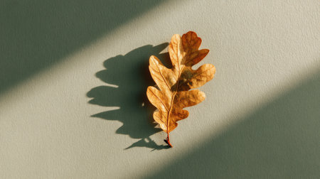 A beautifully detailed oak leaf rests on a soft green backdrop, casting gentle shadows that enhance the texture and warmth of the autumn season.の素材