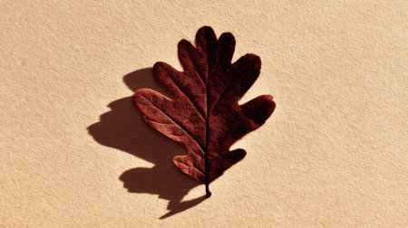 A stunning close-up showing a red oak leaf casting a shadow on textured paper. This image captures the beauty of nature and autumn's color palette.の素材