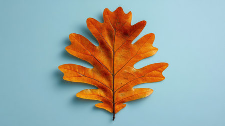A vibrant orange oak leaf rests gracefully on a soft blue background, showcasing intricate details and textures, perfect for seasonal art or decor.の素材
