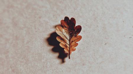 A detailed close-up image of a dried oak leaf resting on a soft beige background. The natural curves and textures of the leaf create a warm and calming ambiance.の素材
