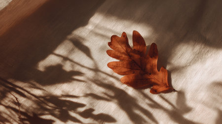 A delicate autumn leaf casts intriguing shadows on a soft fabric surface, illuminated by gentle sunlight. The warm tones create a serene and tranquil atmosphere.の素材