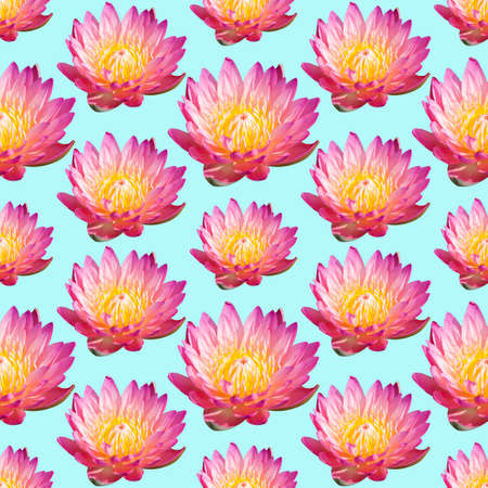 Repeating pattern of water lilys. Seamless pattern for design.の写真素材