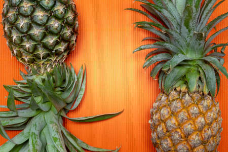 Fresh pineapple on a orange background.の写真素材