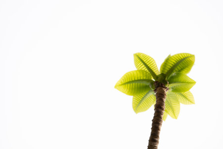 Plumeria leaves on white background with copy space, selective focus