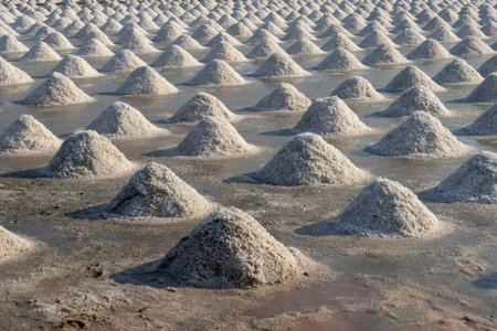 Pile of sea salt, Raw salt field before harvest