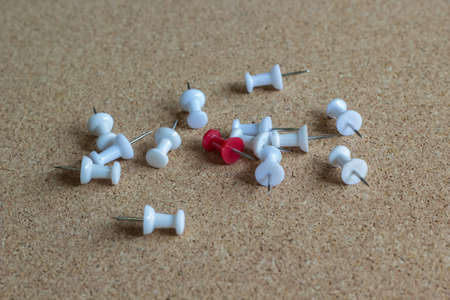 sticky pinned on cork boardの写真素材