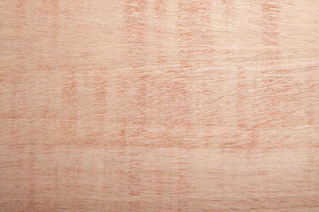 texture of woodの写真素材
