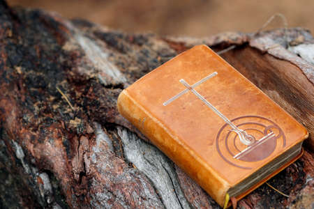 Old bible on a tree.の写真素材