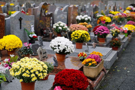All Saints' Day at a cemetery. Flowers placed to honor deceased relatives. France.のeditorial素材
