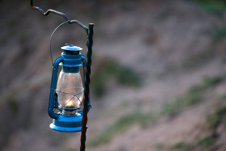 Blue lantern. Masai Mara National Park. Kenya.