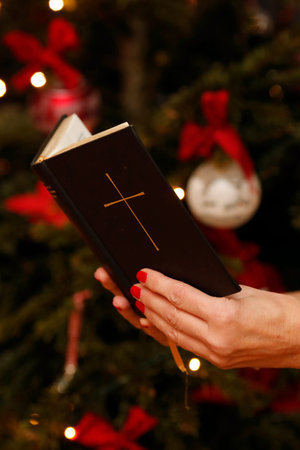 Woman reading the bible with Christmas tree in background. Geneva. Switzerland.