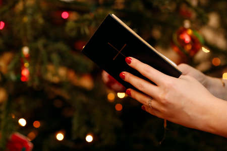 Woman reading the bible with Christmas tree in background. Geneva. Switzerland.の写真素材