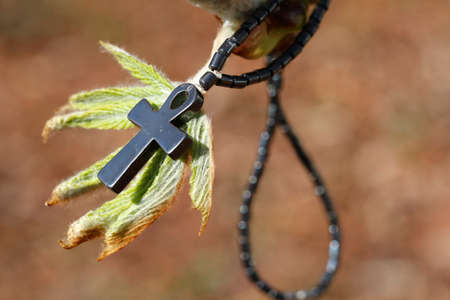 Cross and bud symbol of life that overcomes obstacles.の写真素材