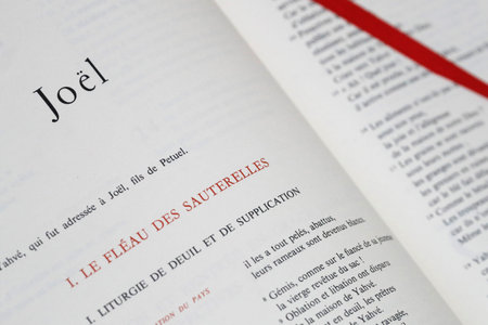 Bible. The Old Testament. Joel. France.