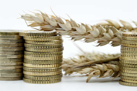 Wheat ears and coins. Fair Trade. Commodity trade. Agriculture harvest concept.の写真素材