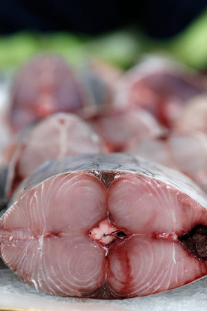 Fresh fish on sale at the Dubai Fish market. Fresh tuna. United Arab Emirates.