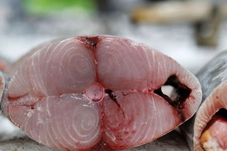 Fresh fish on sale at the Dubai Fish market. Fresh tuna. United Arab Emirates.の写真素材