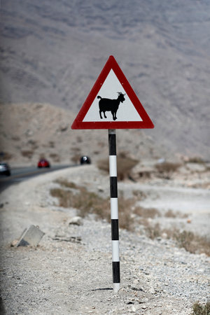 Desert Road at Jebel Jais Mountain. Sign of goat crossing in the desert. United Arab Emirates.の写真素材