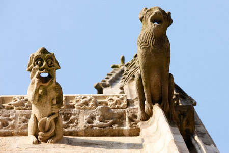 Saint-Corentin cathedral, Quimper. Stone gargoyles. France.