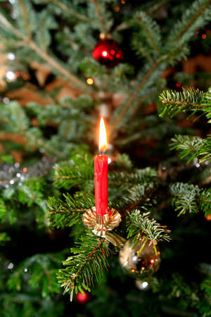 Candle on a Christmas tree.の写真素材
