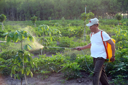 Vietnamese farmer at work in his cassava field. Spraying pesticide. Thay Ninh. Vietnam.のeditorial素材