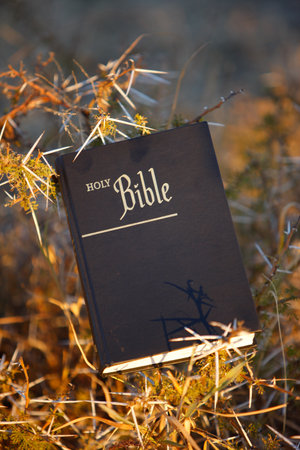 Holy Bible. Liturgy book. Spirituality.の写真素材