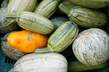 Organic vegetables on a market. France.
