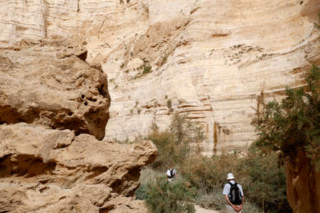 Ein Avdat Canyon, Negev Desert.のeditorial素材