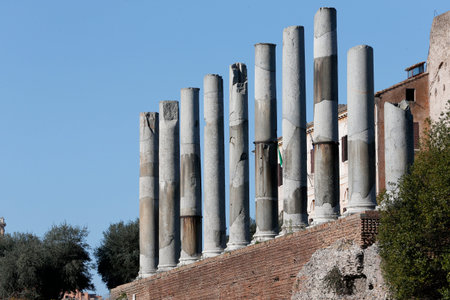 Columns at Via Sacra, Roman Forum. Roman architecture. Rome. Italy.のeditorial素材