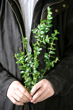 Holy week. Palm Sunday. Faith and spirituality. France.